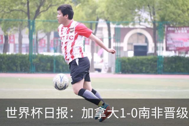 世界杯日报：加拿大1-0南非晋级创历史 韩国主帅洪明甫下课
